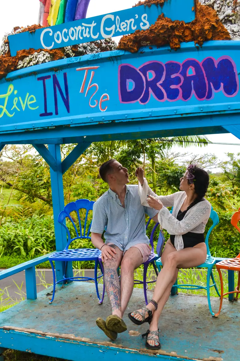 Guests at the Coconut Glen's roadside stand