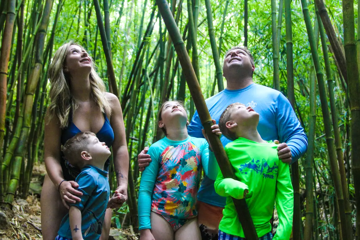 A family looking up inside a bamboo grove