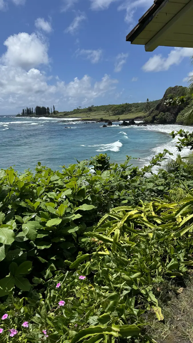 The Hana coastline from a roadside lookout